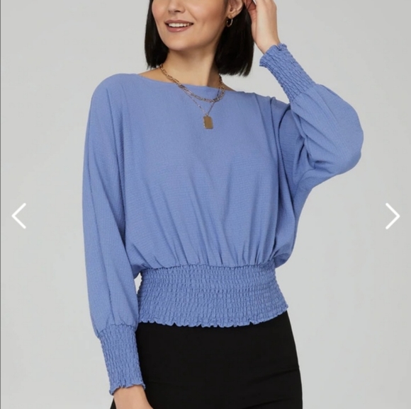 Blue Blouse - Picture 2 of 3